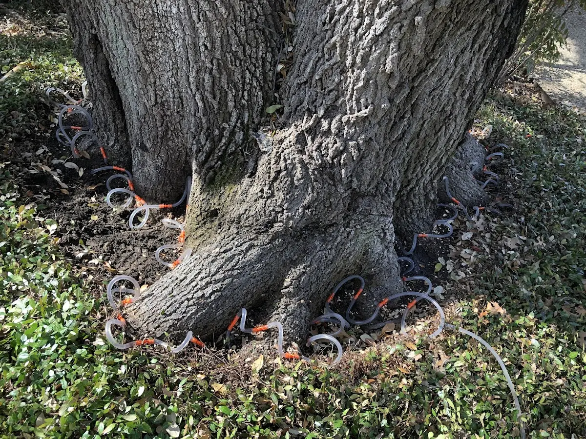 Detailed Shrub and Hedge Trimming job site in Rhodes